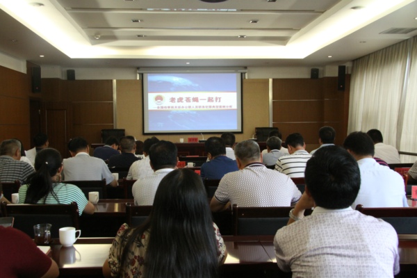 IMG_1507.jpg IMG_1507.jpg