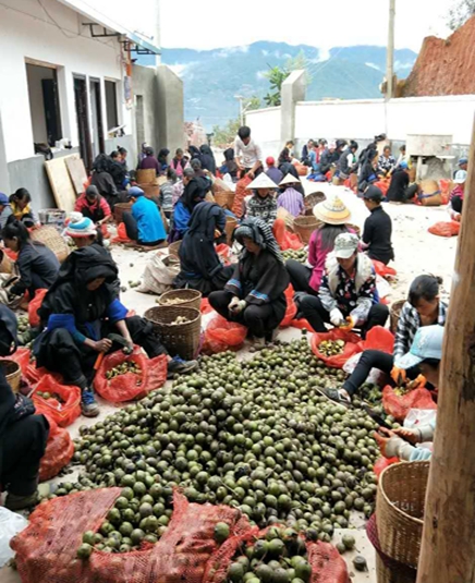 1_副本.jpg 1_副本.jpg