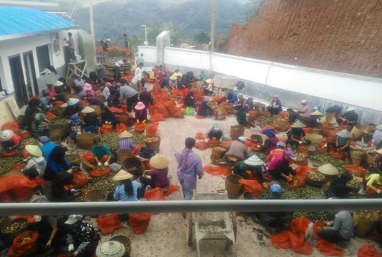 2_副本.jpg 2_副本.jpg