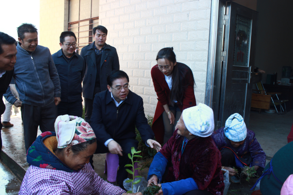 陸俊華向農(nóng)戶了解石斛合作社帶領村民脫貧致富情況.jpg 陸俊華向農(nóng)戶了解石斛合作社帶領村民脫貧致富情況.jpg