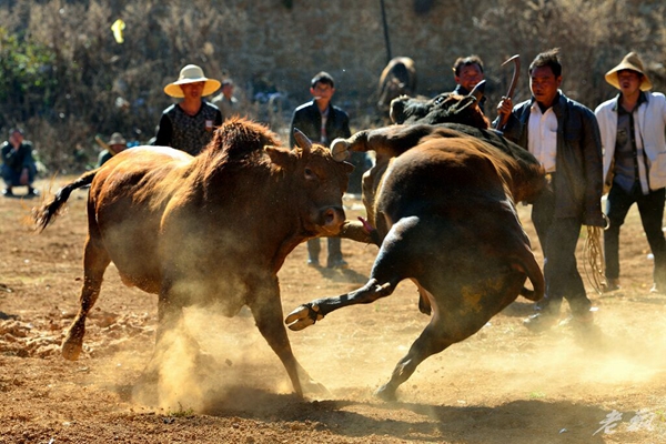 3_副本.jpg 3_副本.jpg