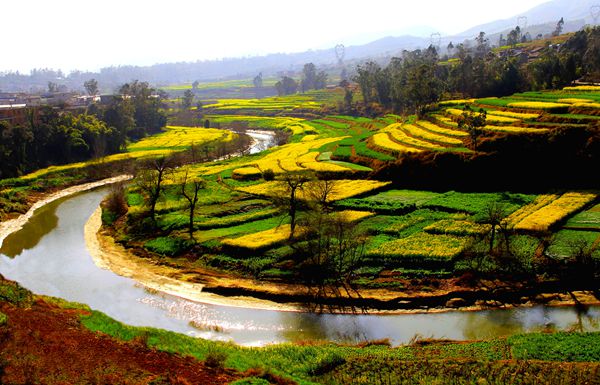 千花百卉爭明媚,溪邊風物已春分_副本.jpg 千花百卉爭明媚,溪邊風物已春分_副本.jpg