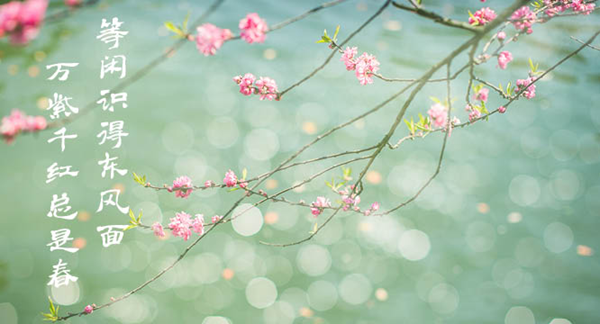 W020180321319534408498.png W020180321319534408498.png