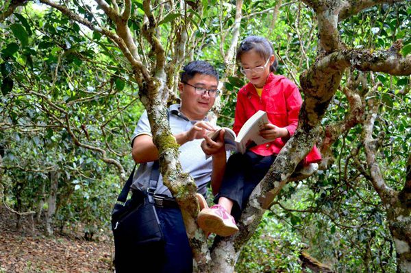 mmexport1524102229284_副本.jpg mmexport1524102229284_副本.jpg