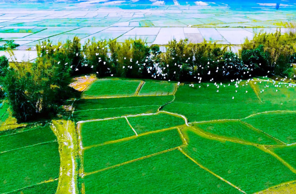 2_副本.jpg 2_副本.jpg