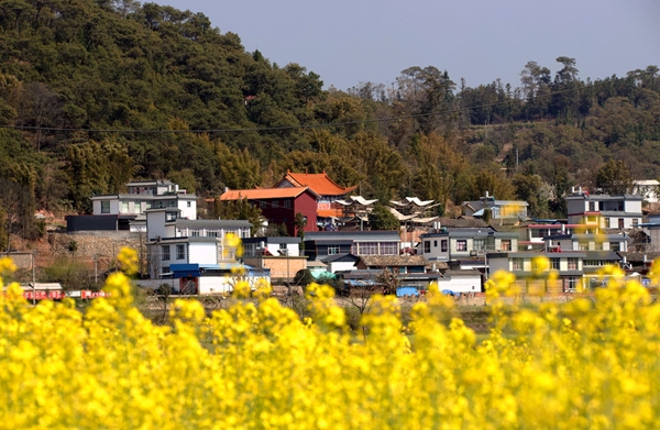 5_副本.jpg 5_副本.jpg