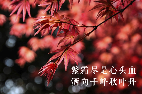 W020180529610362566423.jpg W020180529610362566423.jpg