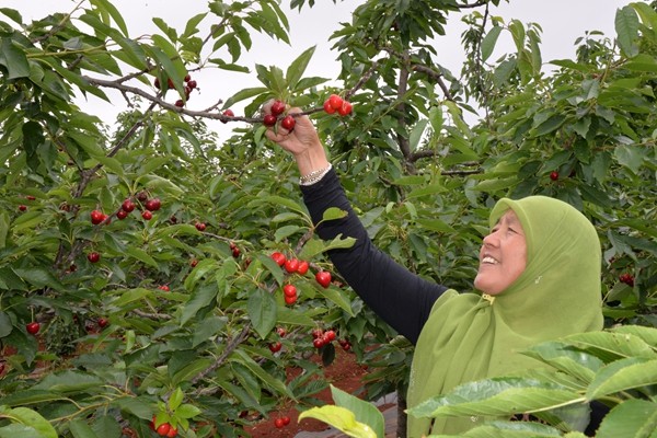 8_副本.jpg 8_副本.jpg