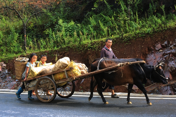 12_副本.jpg 12_副本.jpg