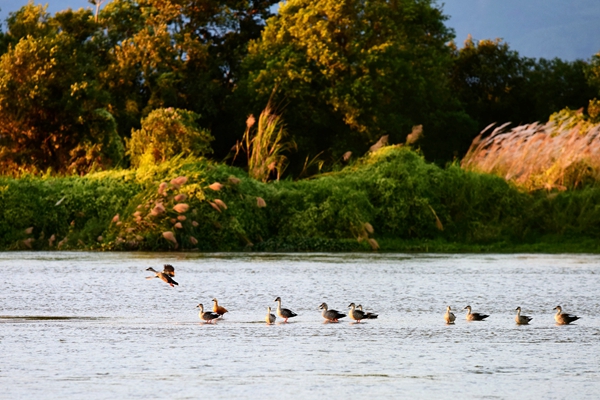 14_副本.jpg 14_副本.jpg