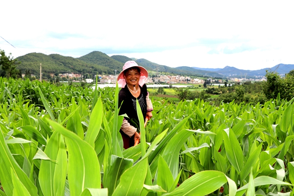 2_副本.jpg 2_副本.jpg