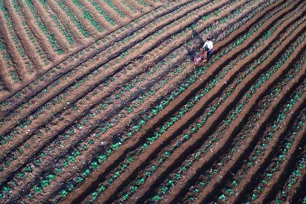 16_副本.jpg 16_副本.jpg