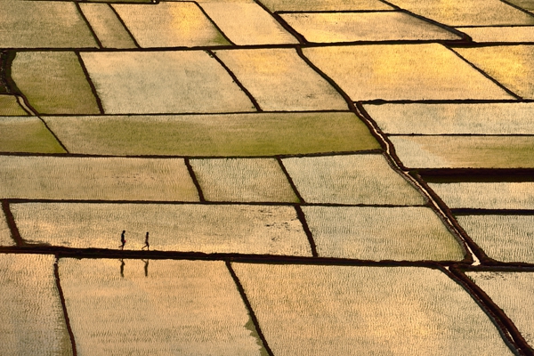 9_副本.jpg 9_副本.jpg