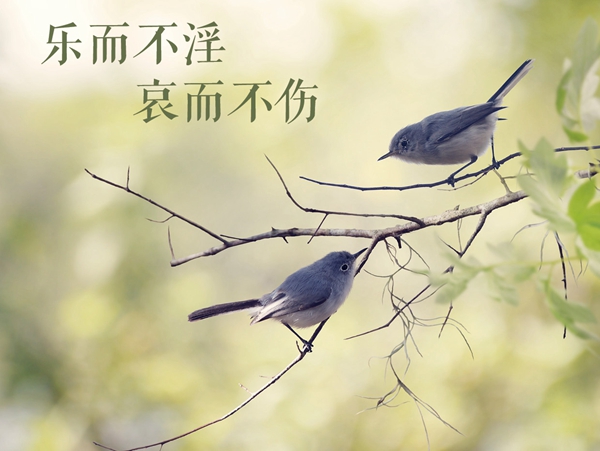 W020180702538276651257.jpg W020180702538276651257.jpg