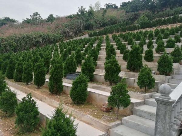 4_副本.jpg 4_副本.jpg