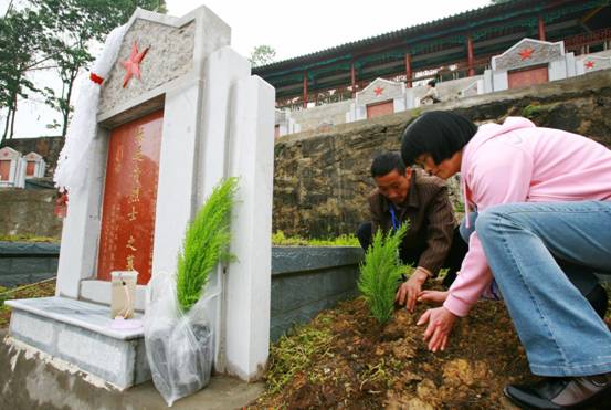 中網7.jpg 中網7.jpg