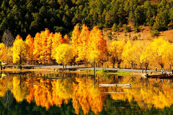 5、層林盡染_副本.jpg 5、層林盡染_副本.jpg