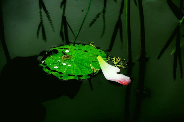 圖4：【紀檢人·鏡頭】夏之絢+ 楚雄市紀委_副本.jpg