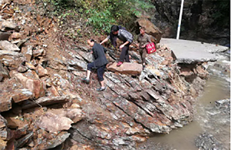 W020180721267838794268.jpg W020180721267838794268.jpg