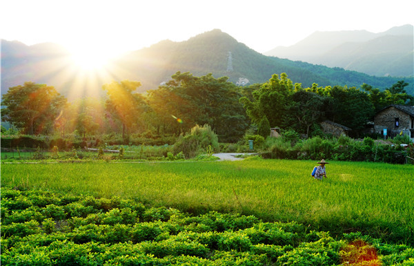 W020180720593210135085.jpg W020180720593210135085.jpg