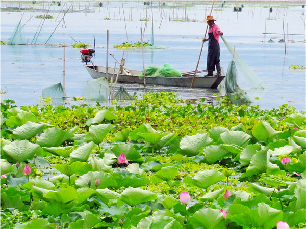 W020180720593210140721.jpg W020180720593210140721.jpg