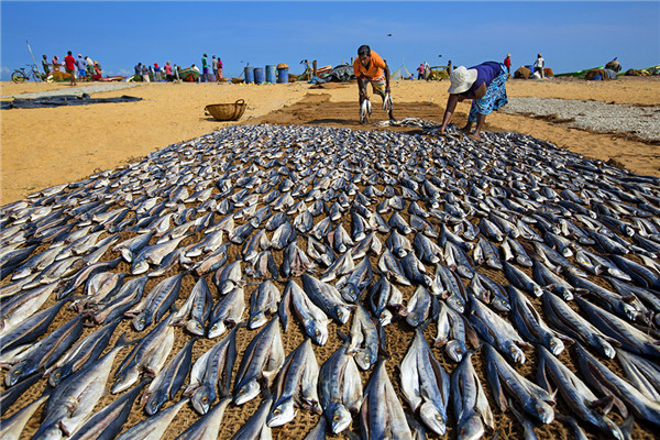 W020180720593210152836.jpg W020180720593210152836.jpg