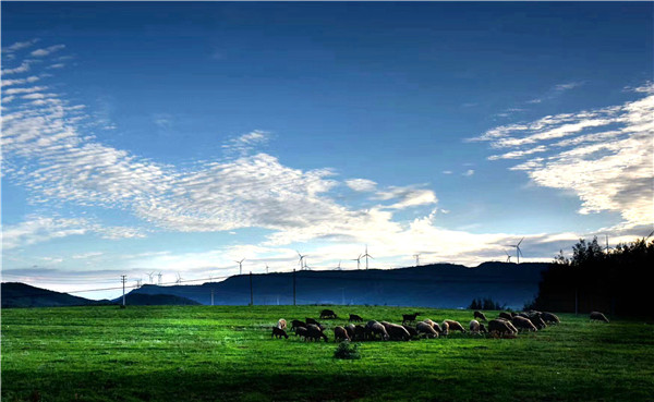 W020180720593210148680.jpg W020180720593210148680.jpg