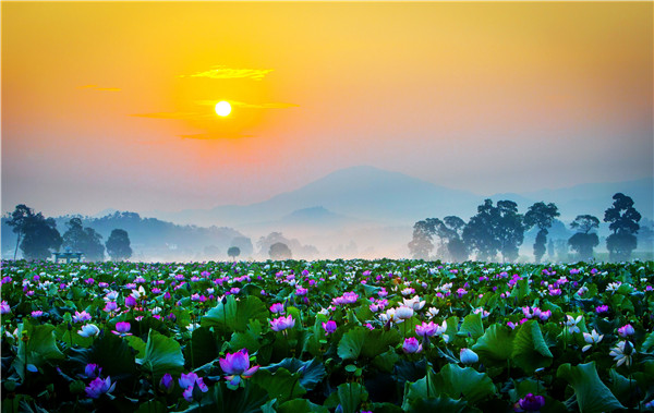 W020180720593210125311.jpg W020180720593210125311.jpg