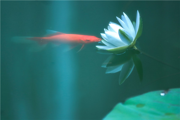 W020180720593210166628.jpg W020180720593210166628.jpg