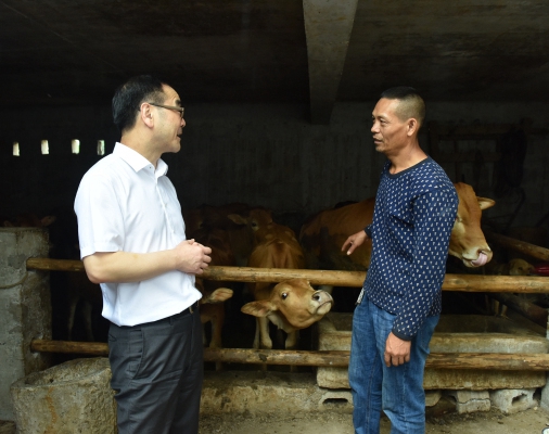 vlbFbQeBsFaXcmcvgWg2W1UawC2svT7q2kicbYwT.jpeg vlbFbQeBsFaXcmcvgWg2W1UawC2svT7q2kicbYwT.jpeg