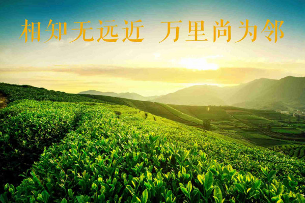 W020180727539693171082.jpg W020180727539693171082.jpg