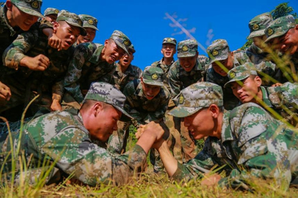 W020180731561862883096.jpg W020180731561862883096.jpg