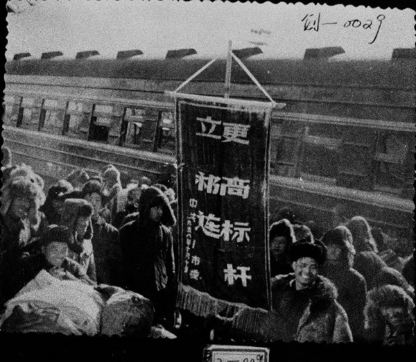 W020180806773550710665.jpg W020180806773550710665.jpg