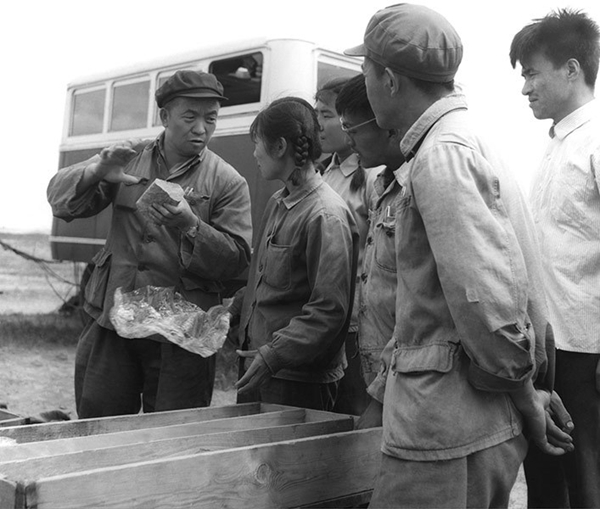 W020180806773550755740.jpg W020180806773550755740.jpg