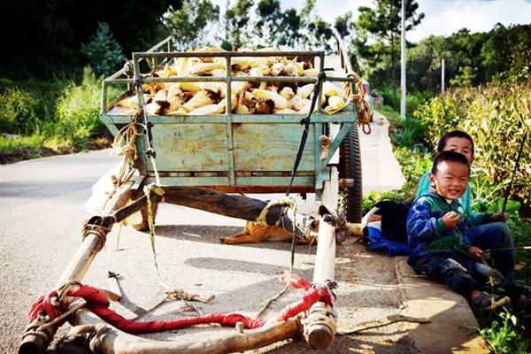 W020180821560216607482.jpg W020180821560216607482.jpg