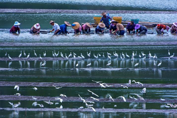 W020180821560216610297.jpg W020180821560216610297.jpg