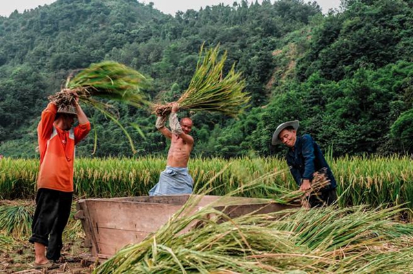 W020180821560216617403.jpg W020180821560216617403.jpg