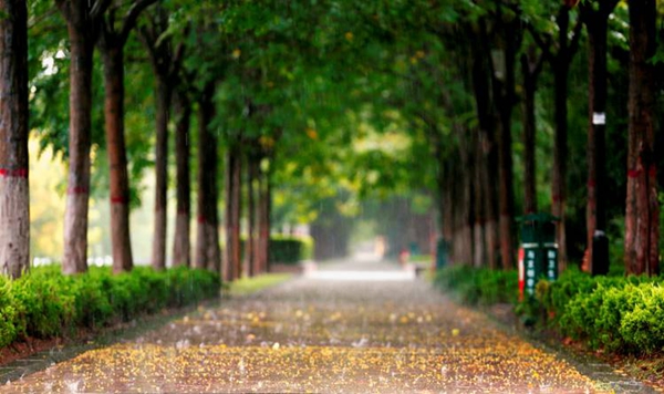 W020180821560216585174.jpg W020180821560216585174.jpg