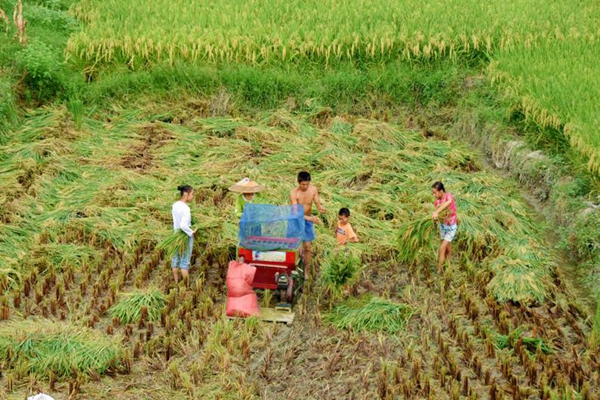 W020180824650633426481.jpg W020180824650633426481.jpg