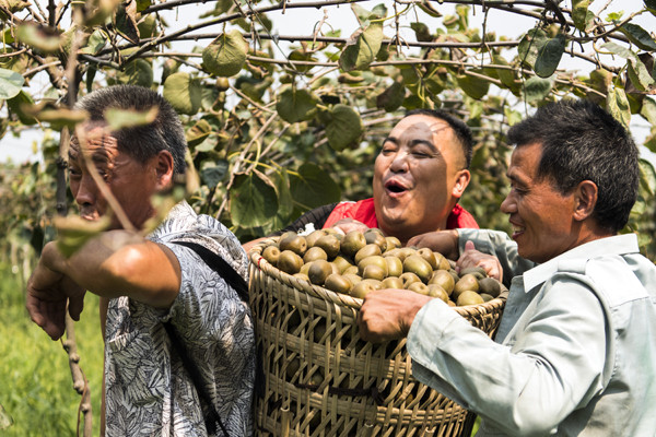 W020180920621406342332.jpg W020180920621406342332.jpg