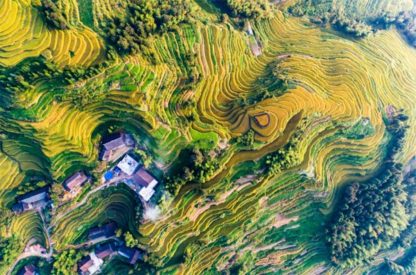 W020180920621405707321.jpg W020180920621405707321.jpg