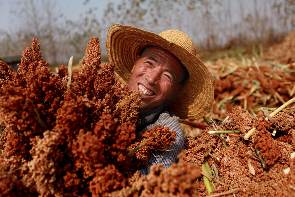 W020180920621405786123.jpg W020180920621405786123.jpg