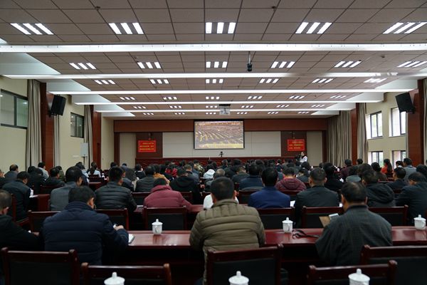 大姚_副本.jpg 大姚_副本.jpg