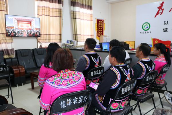 雙柏2_副本.jpg 雙柏2_副本.jpg