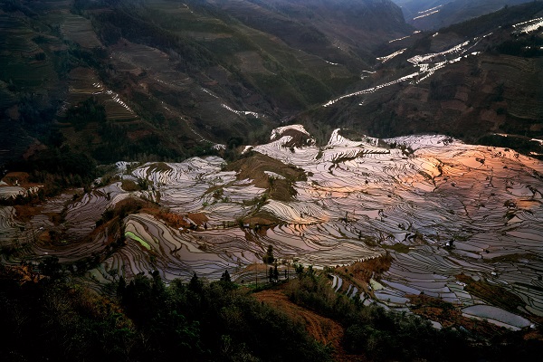 12麒麟區.jpg 12麒麟區.jpg