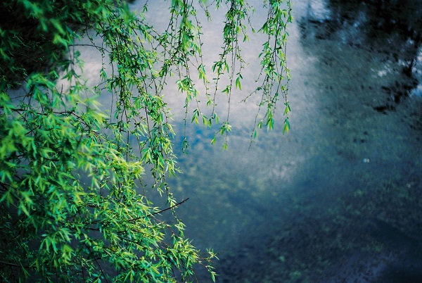 4隆陽區.jpg 4隆陽區.jpg