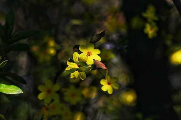 1玉溪.jpg 1玉溪.jpg