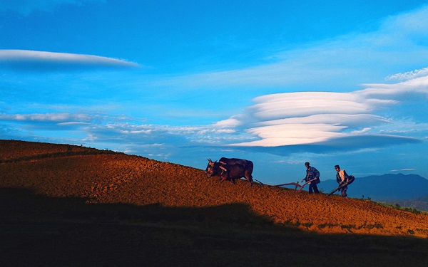 14五華.jpg 14五華.jpg