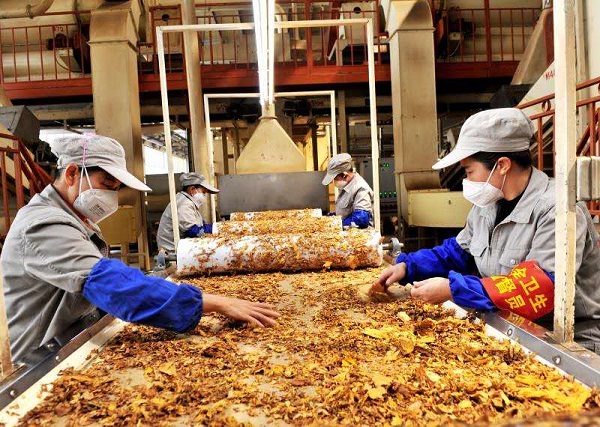 微信圖片_20200306095109.jpg 微信圖片_20200306095109.jpg