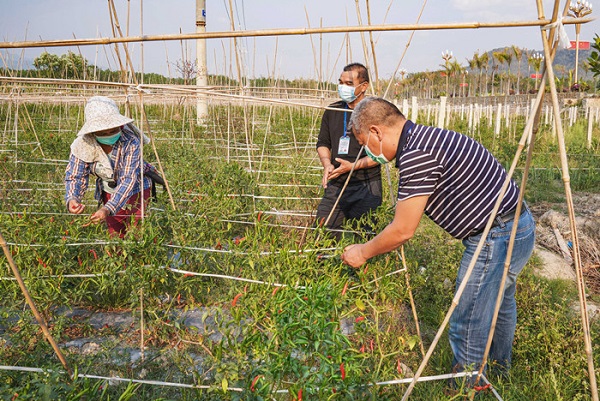 6372004140996089725387625.jpg 6372004140996089725387625.jpg